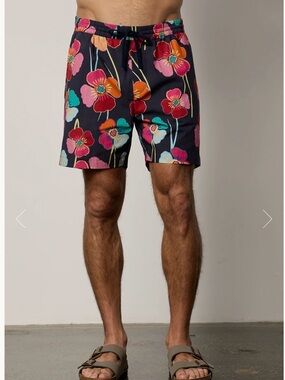 Velvet by Graham & Spencer Colt Shorts Bahama Print